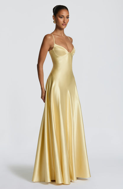 Asterin Maxi Dress