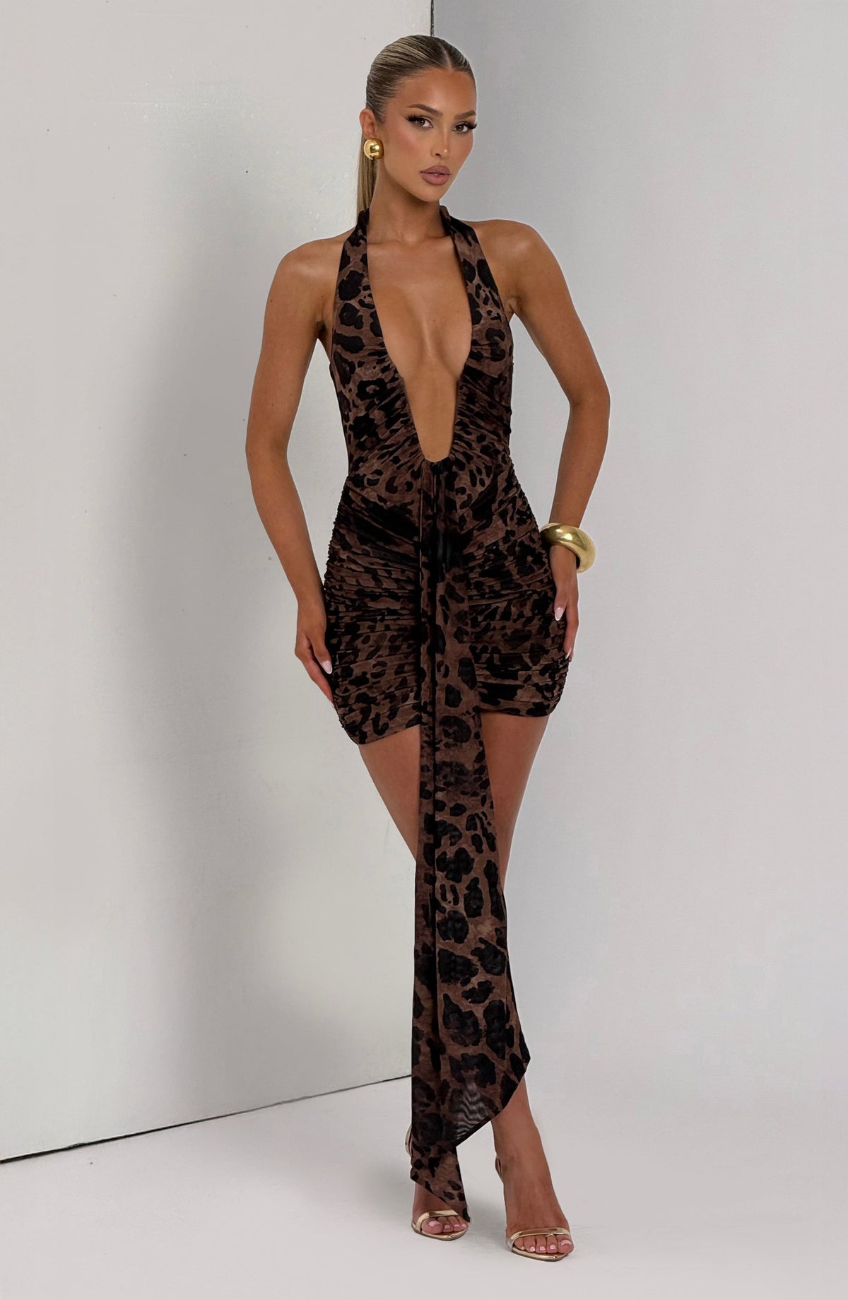 Rosetta Mini Dress